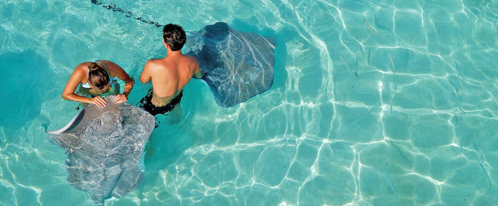 key west resorts for couples only key west resorts for couples only